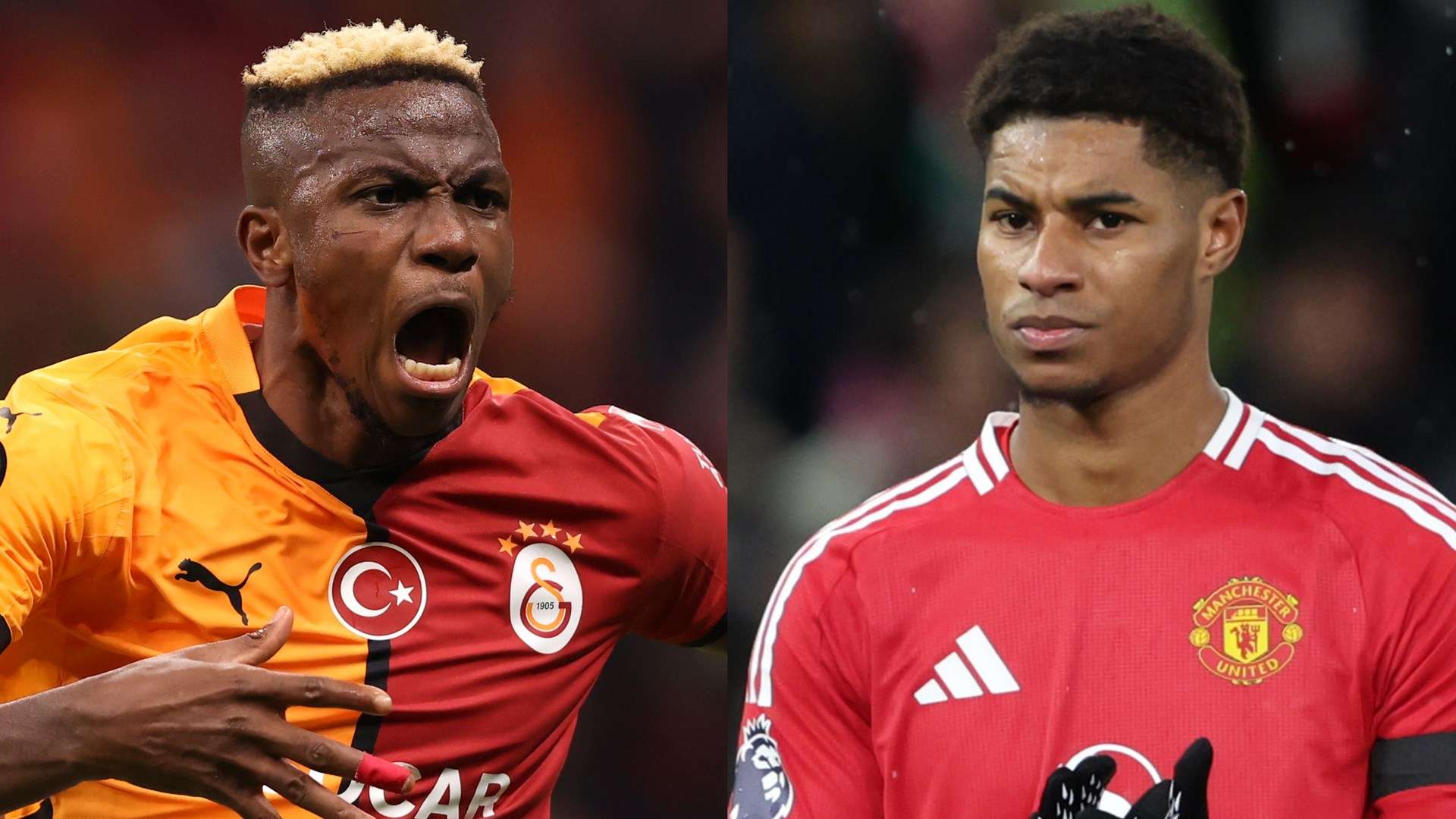 让各国人民 让各国人民