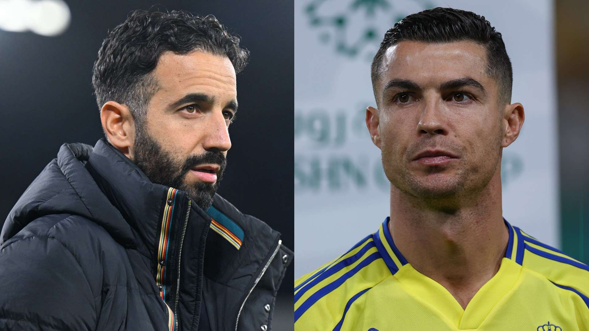 体育竞技 体育竞技